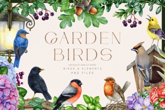 Bring Nature Indoors: The Garden Birds Watercolor Illustration Set