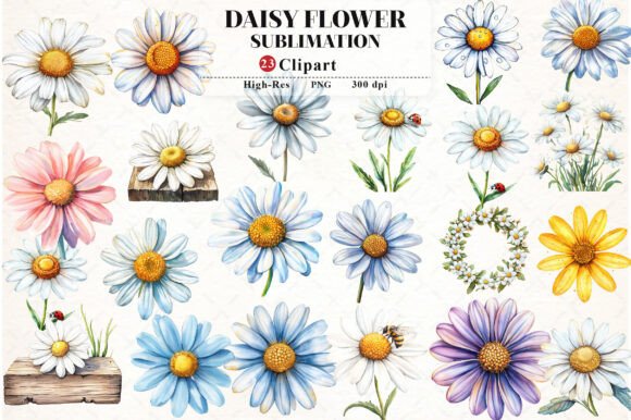 Daisy Flower Watercolor Cliparts: A Fresh Asset for Modern Designs