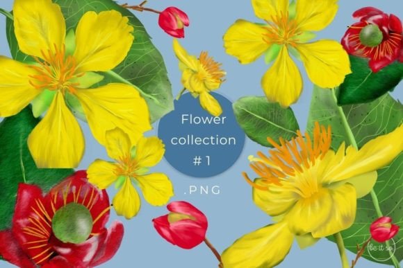 Flower Collection Clipart: Realistic Botanicals for Design
