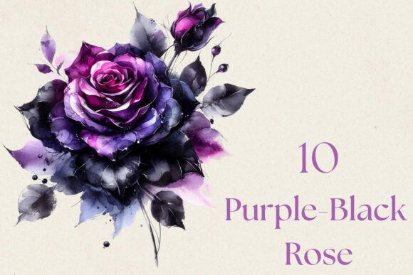 Purple Black Rose Flower Watercolor PNG: A Darkly Elegant Design Asset