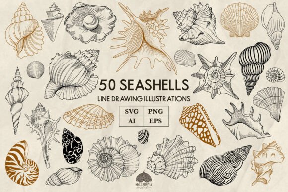 Seashells Line Art Collection Svg Png Ep