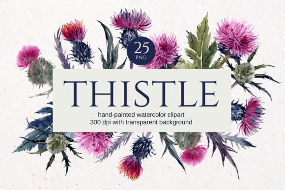 Thistle Watercolor Floral Clipart: A Versatile Design Asset