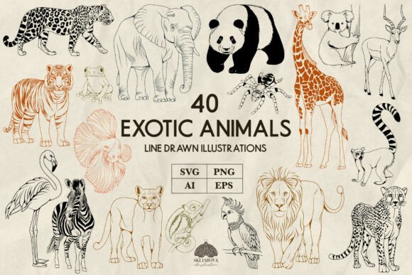 Wildly Versatile: Using Exotic Animals Line Art in Modern Design